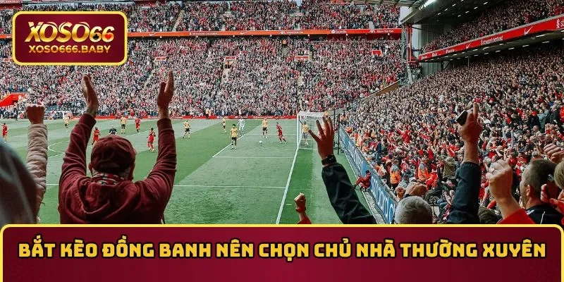 Bắt kèo đồng banh nên chọn chủ nhà thường xuyên