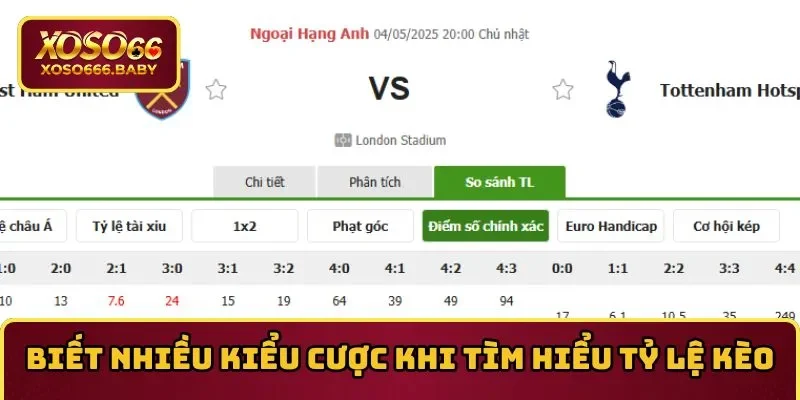 Biết nhiều kiểu cược khi tìm hiểu tỷ lệ kèo