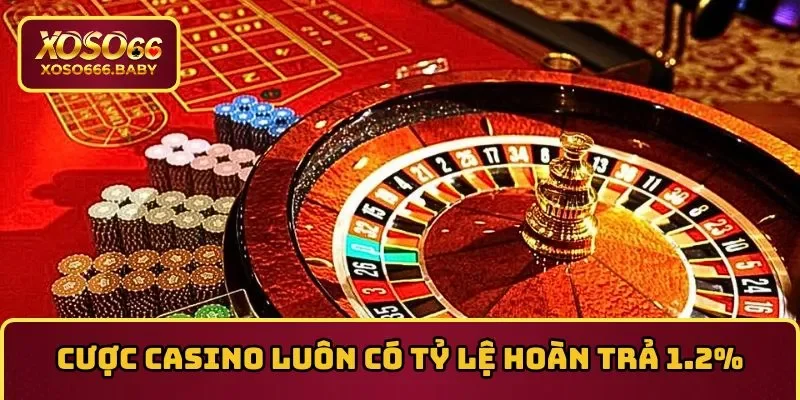 Cược casino luôn có tỷ lệ hoàn trả cao 1.2%