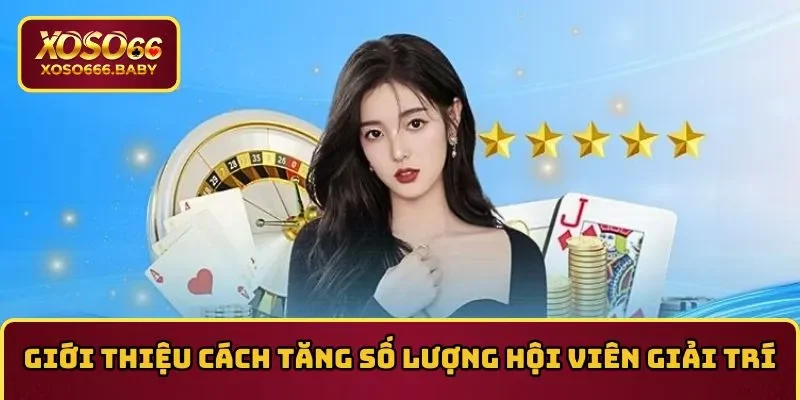 Cách tăng số lượng hội viên giải trí 365 ngày