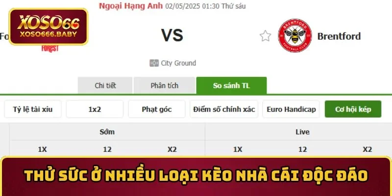 Thử sức ở nhiều loại kèo Nền tảng xổ số trực tuyến độc đáo