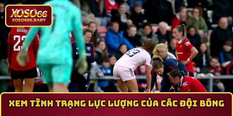 Xem xét tình trạng lực lượng của các đội bóng